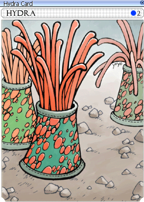 image_6889eb3fc00900.01433963.png